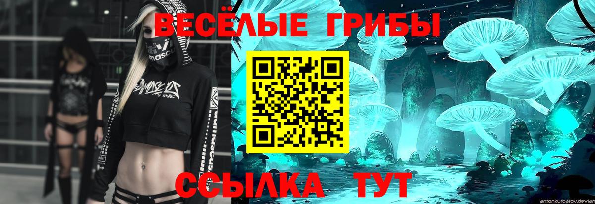 Нефтекамск  Галлюциногенные грибы Cubensis  Вход с VPN 